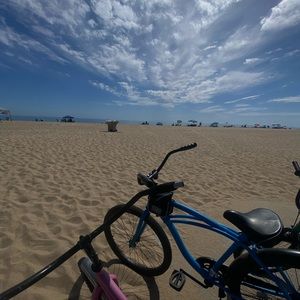 Meet your Posher, Aramesh